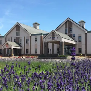 *** ホテル Spa&hotel ふらのラテール 日本